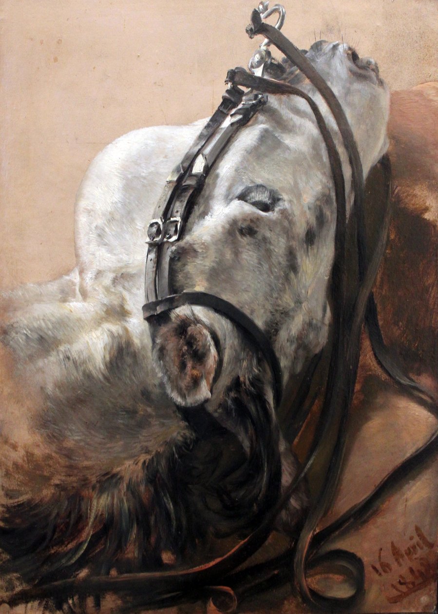 Studie koní od Adolph Menzel