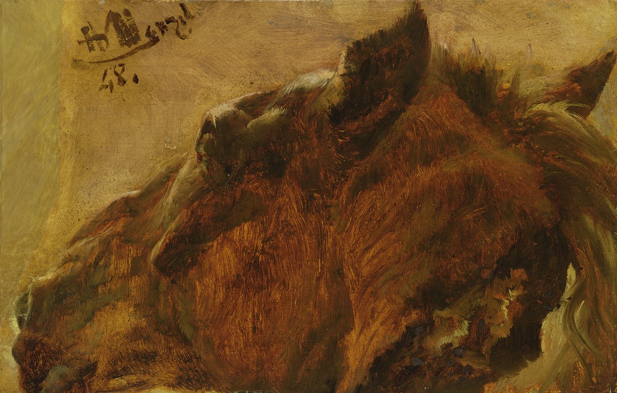 Hlava mrtvého koně, 1848 (olej na papíře na plátně) od Adolph Menzel