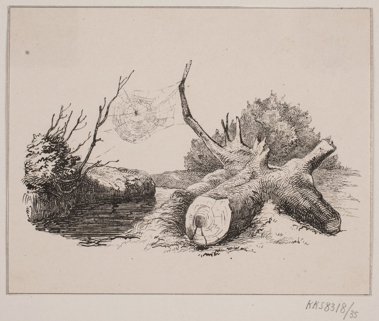 Ederkoppen od Johan Adolph Kittendorff