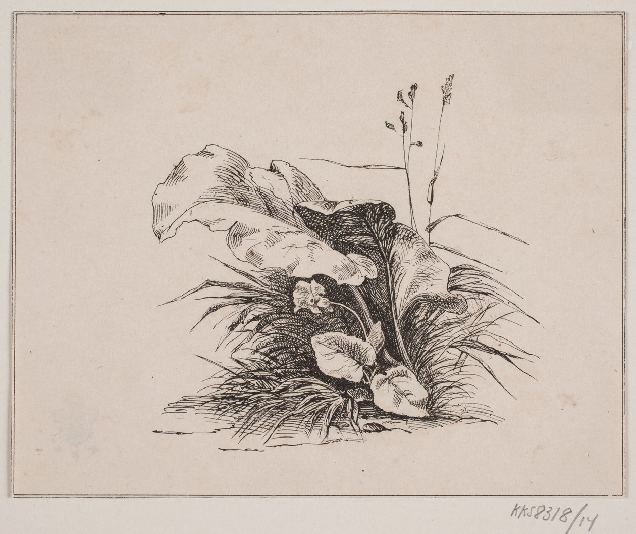 Housle od Johan Adolph Kittendorff