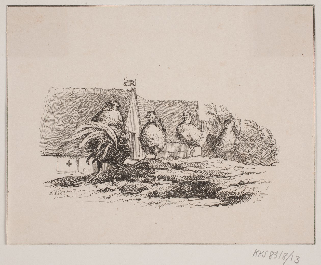 Kohout od Johan Adolph Kittendorff