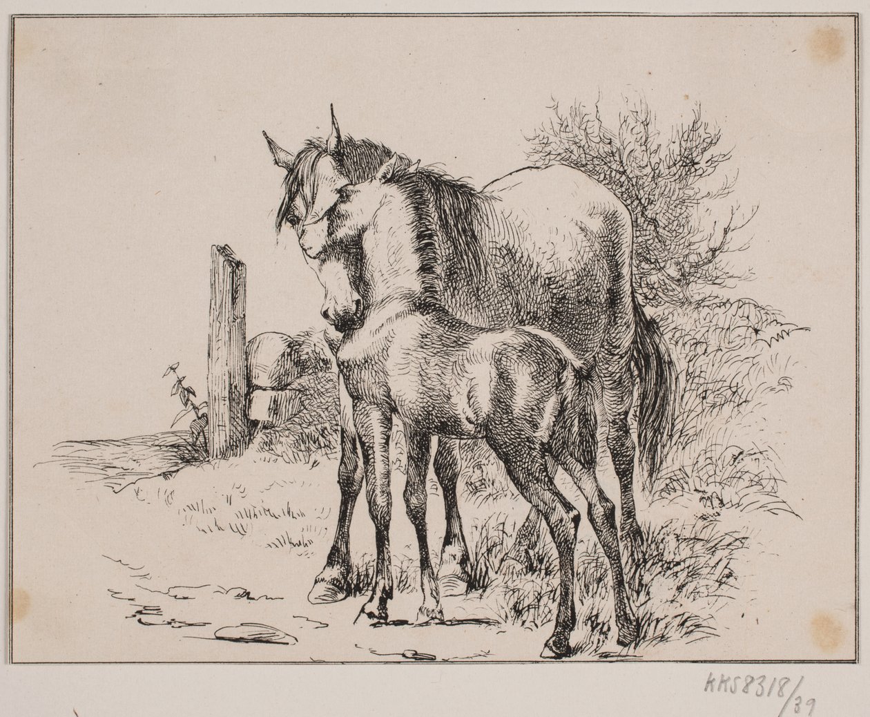 Kůň a hříbě od Johan Adolph Kittendorff