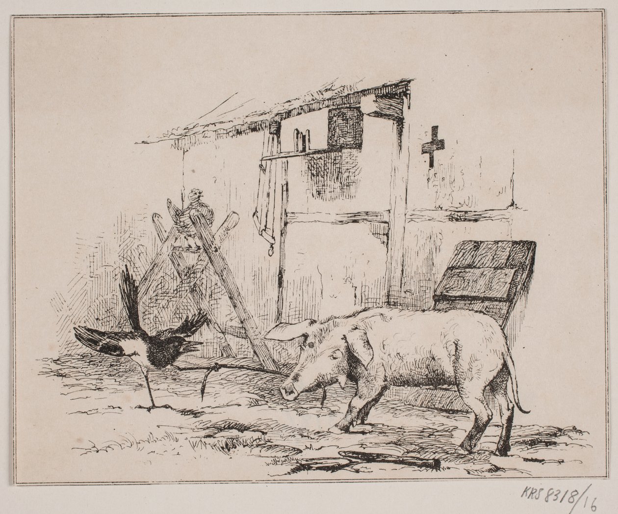 Zranění a prase od Johan Adolph Kittendorff