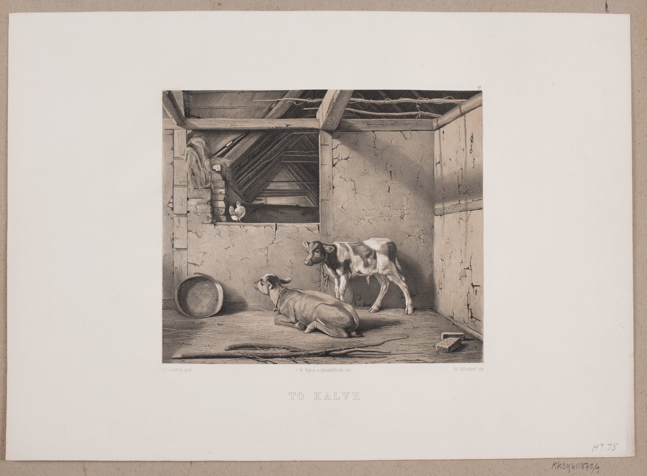 Tele od Johan Adolph Kittendorff