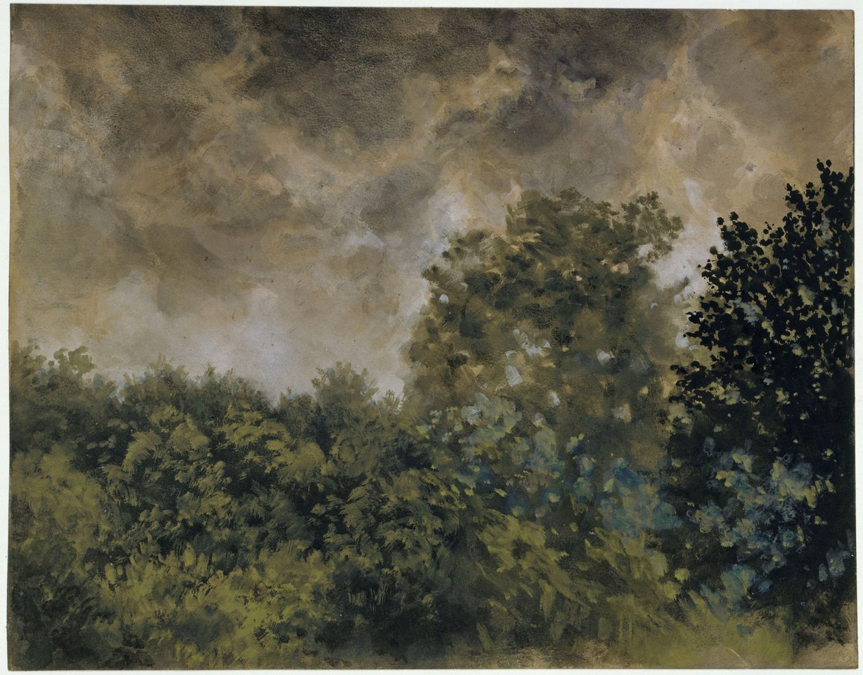 Pohled na listnatý les od Adolph Menzel