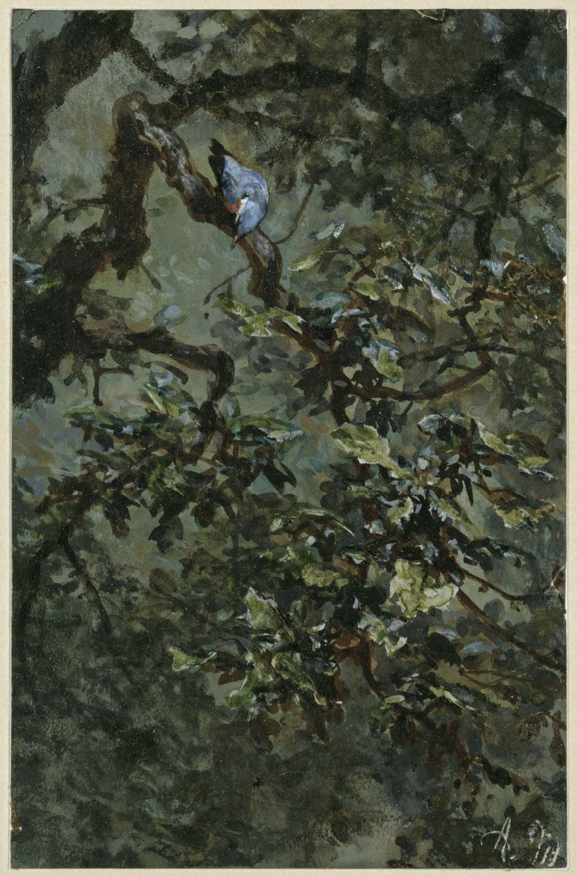 Modrý datel v listoví. Z "Dětského alba" od Adolph Menzel