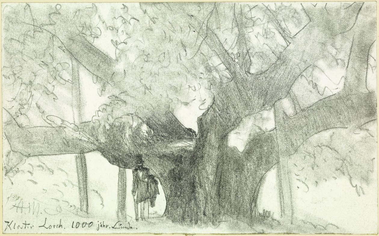 Tisíciletá lípa v klášteře Lorch od Adolph Menzel