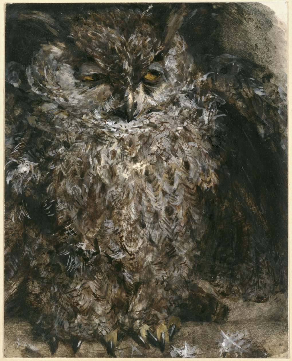 Kalous ušatý. Z „Dětského alba“ od Adolph Menzel