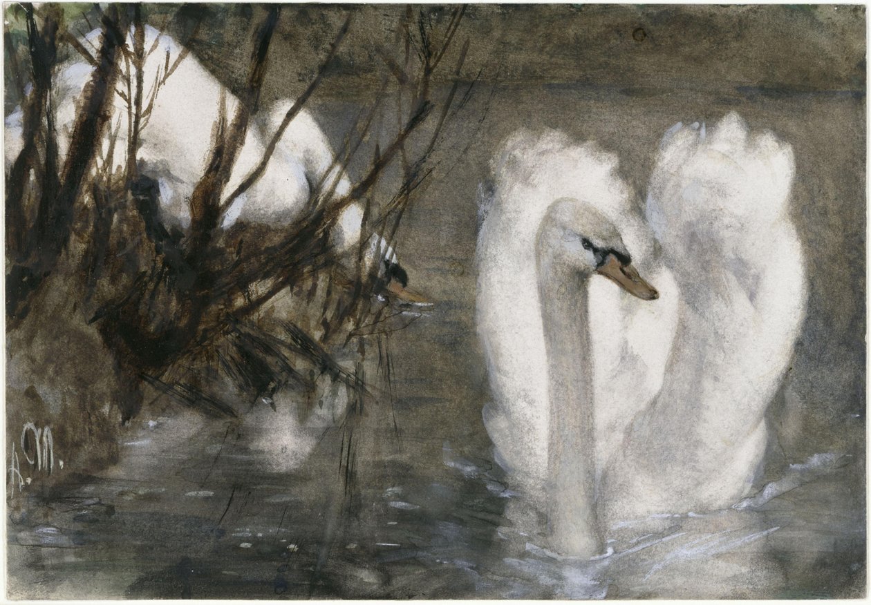 Dvě labutě. Z „Dětského alba“ od Adolph Menzel