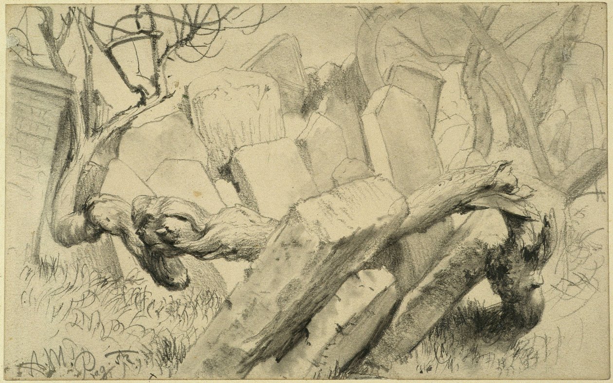 Náhrobky na židovském hřbitově v Praze od Adolph Menzel