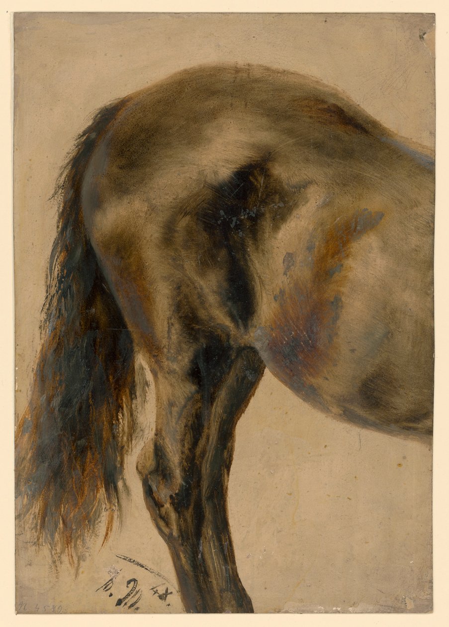 Zadní část koně z profilu od Adolph Menzel