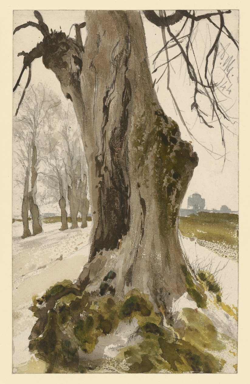Dutý pařez, v pozadí skupina stromů od Adolph Menzel
