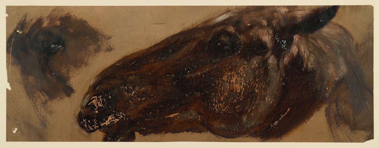 Hlava koně otočená doleva, oblast očí se opakuje od Adolph Menzel
