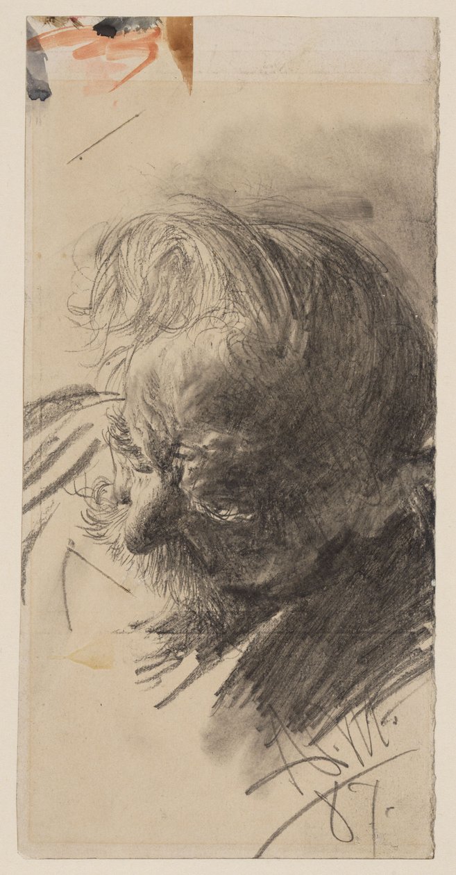 Studie hlavy vousatého starého muže od Adolph Menzel