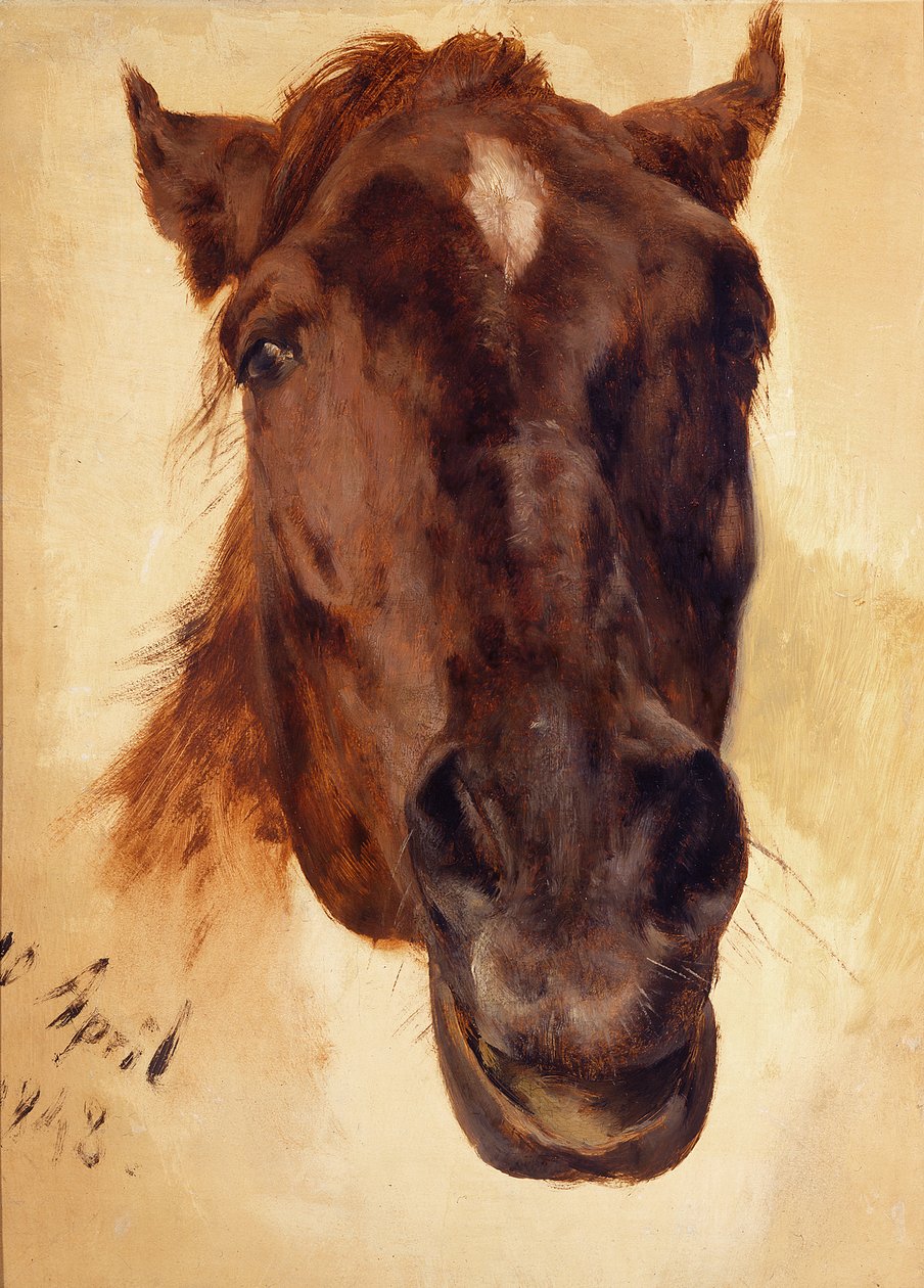 Koňská hlava od Adolph Menzel