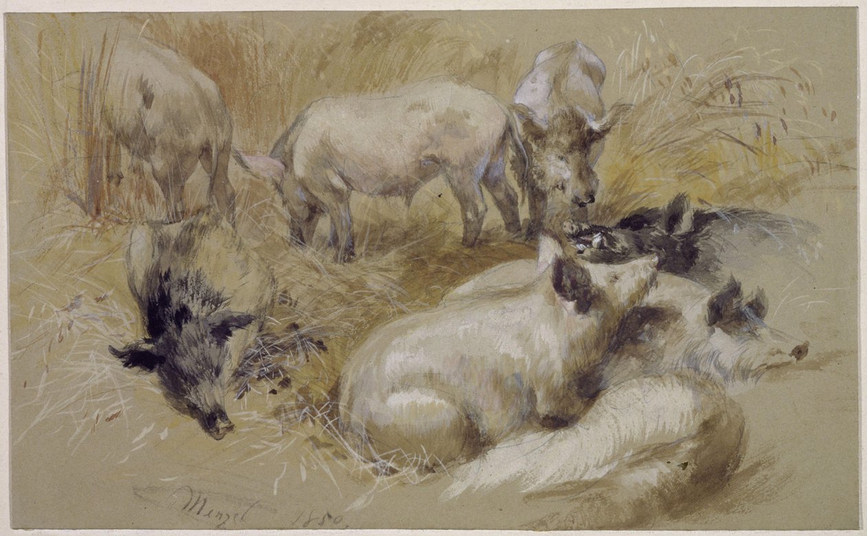 Prasata v obilném poli od Adolph Menzel