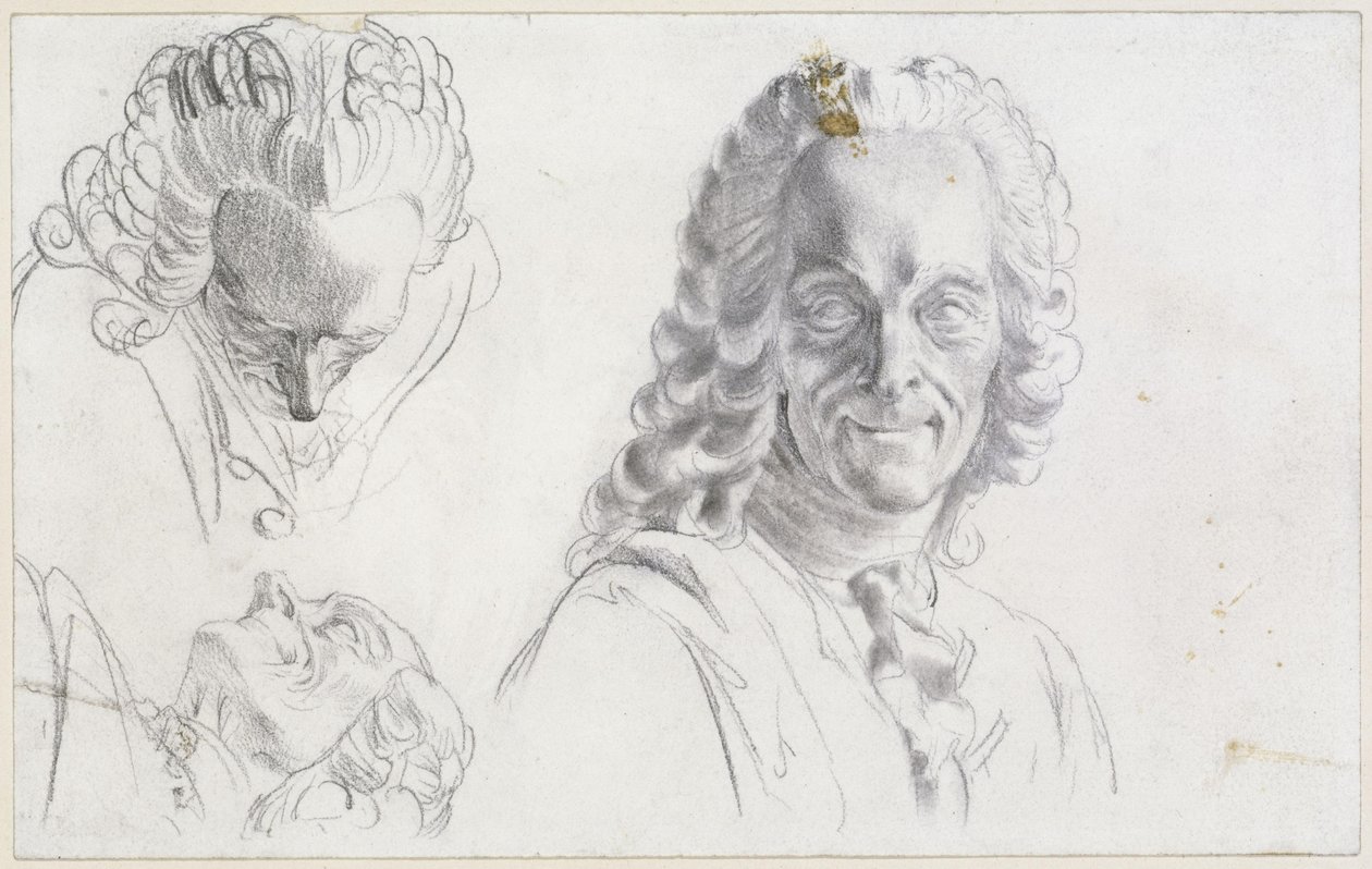 Studie Voltaira od Adolph Menzel