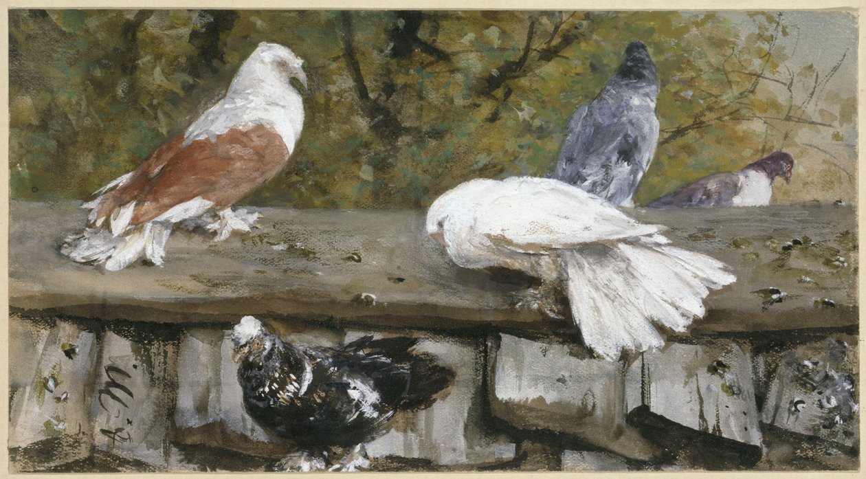 Holubi na dřevěné střeše. Z „Dětského alba“ od Adolph Menzel