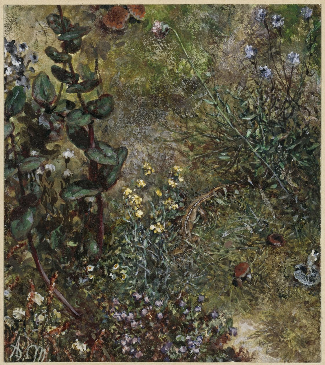 Lesní půda s ještěrkou. Z „Dětského alba“ od Adolph Menzel