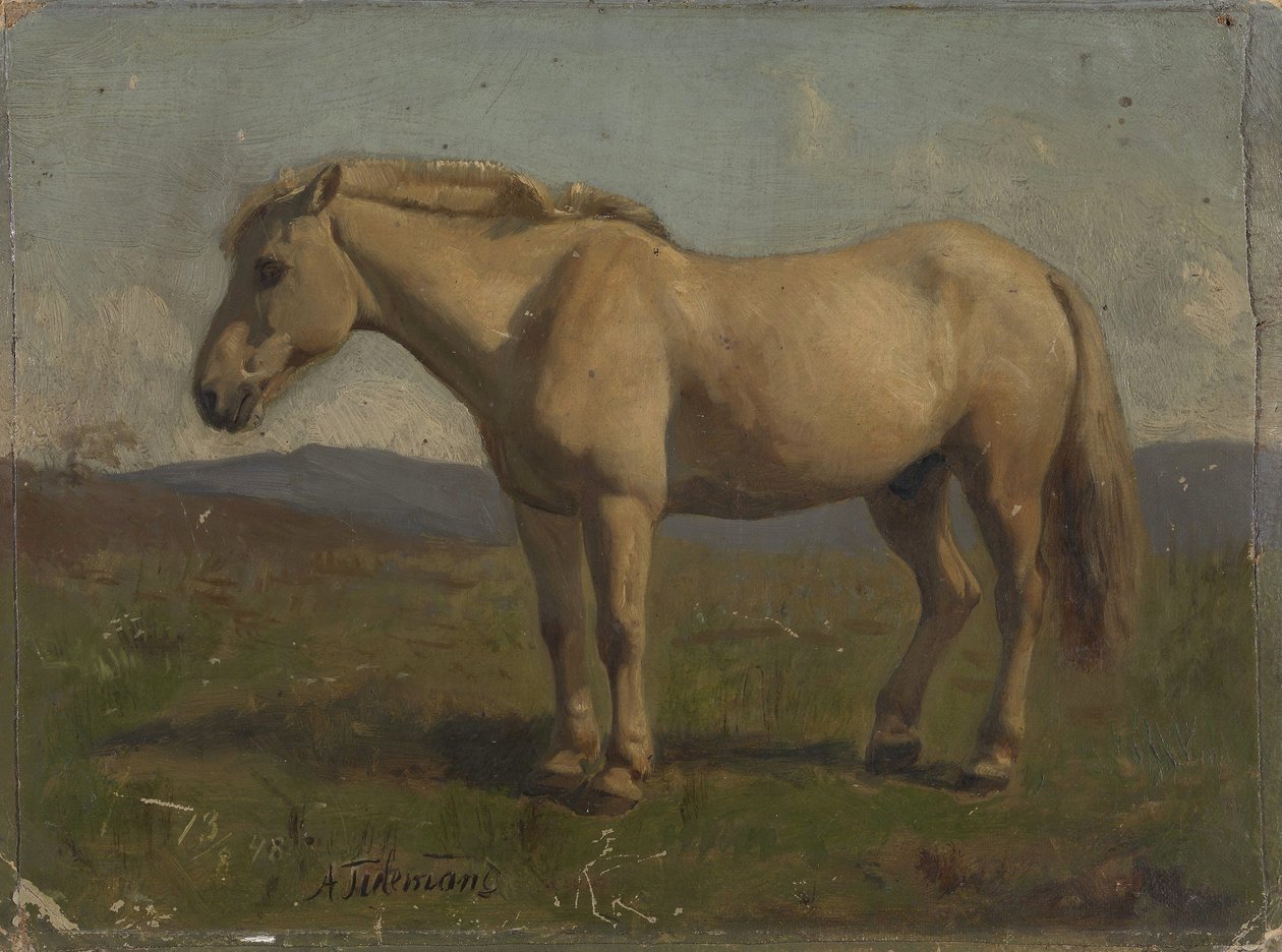 Hnědák od Adolph Tidemand