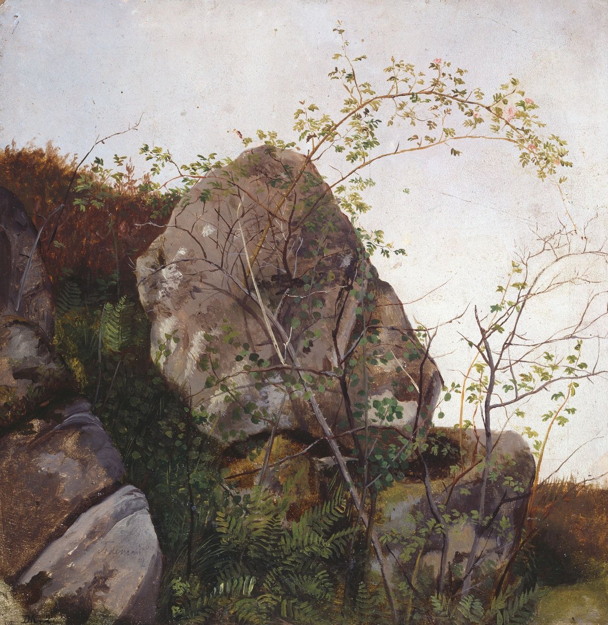 Kvetoucí šípky a kapradiny od Adolph Tidemand