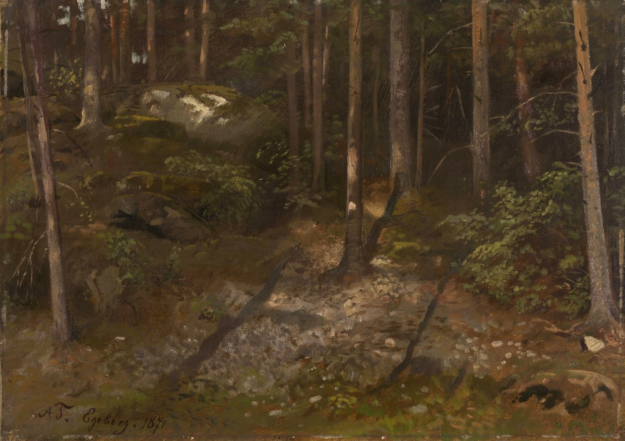 Studie lesa od Adolph Tidemand