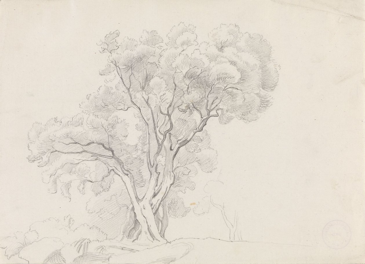 Listnaté stromy od Adolph Tidemand