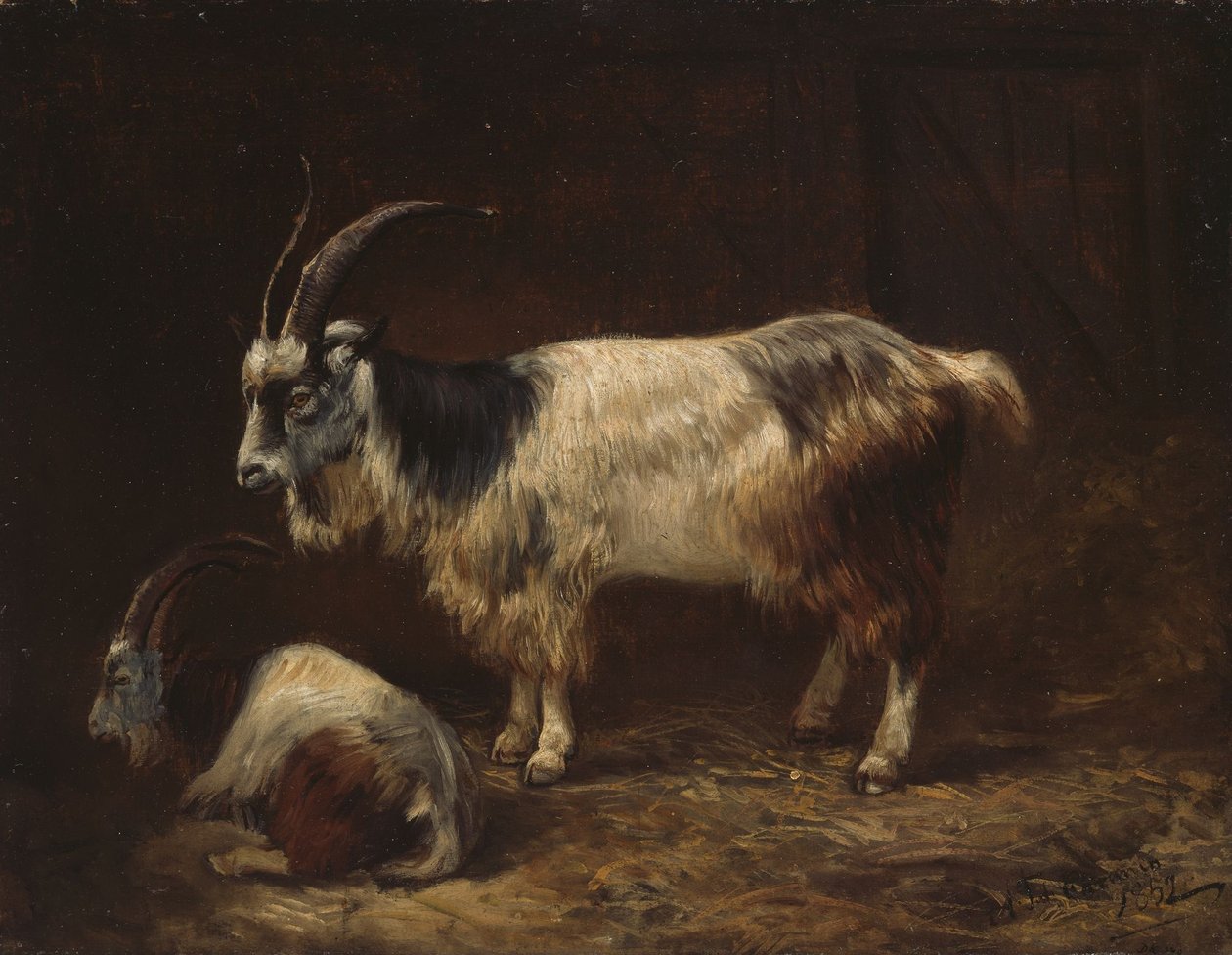 Dvě kozy od Adolph Tidemand