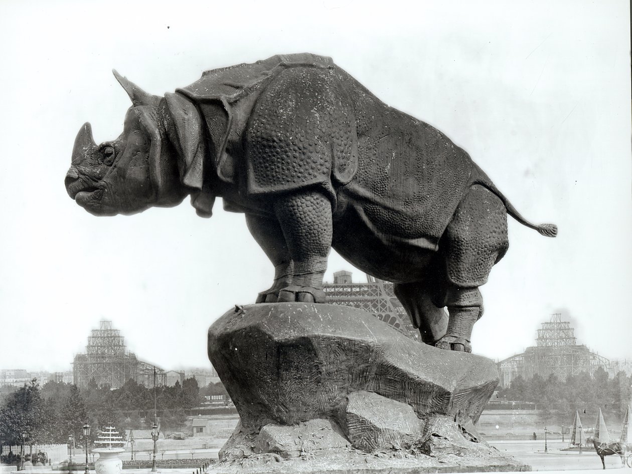 Rhinoceros, 1878, Alfred Jacquemart (1824-96) před palácem Trocadero, postavený pro světovou výstavu (1878), Paříž, 1888 od Adolphe Giraudon