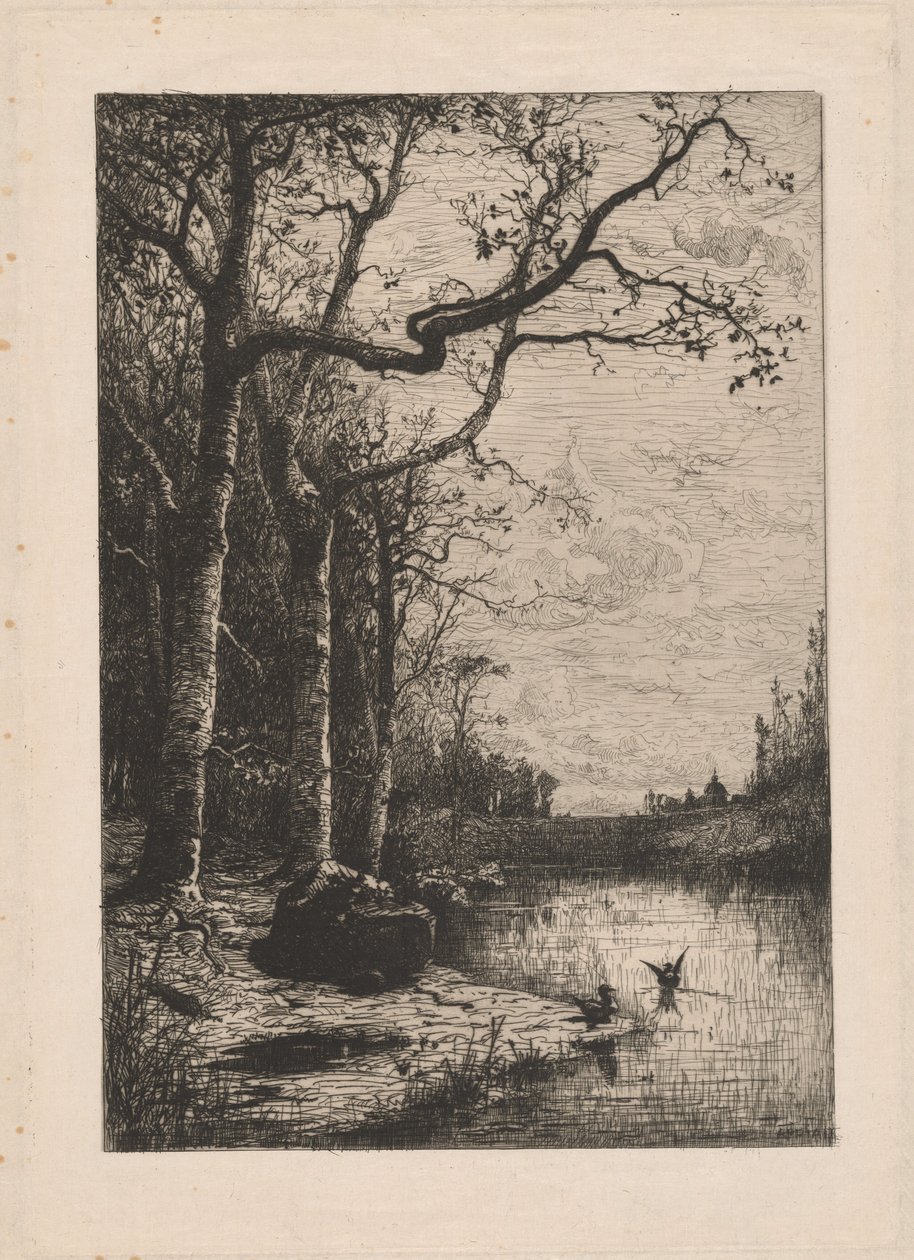 Bažiny Burbanche od Adolphe Appian