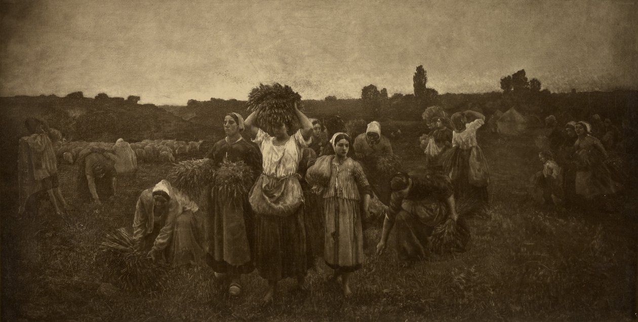 Volání sběračů od Adolphe Braun