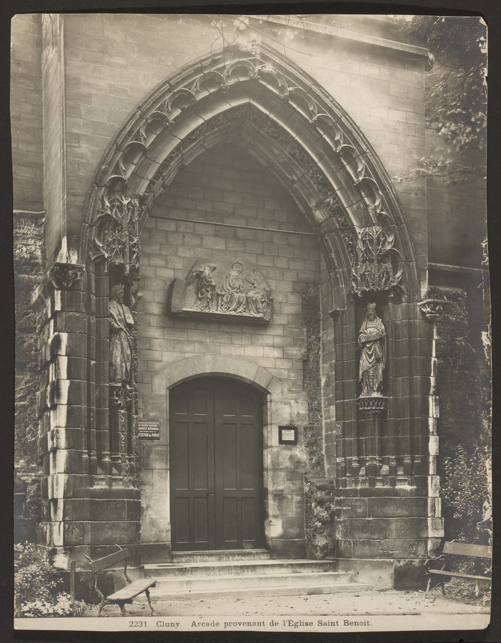 Cluney od Adolphe Braun
