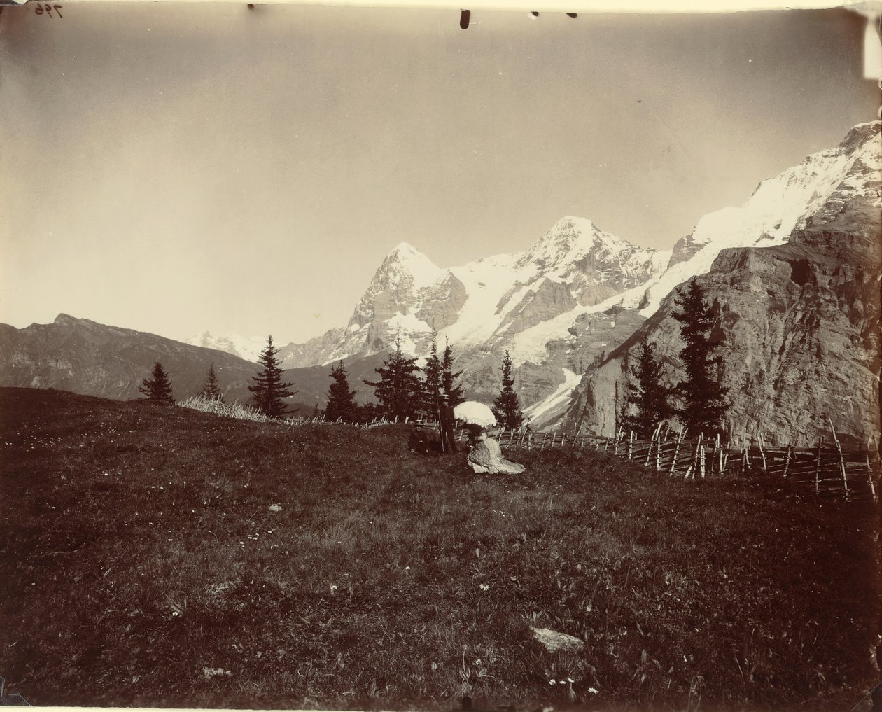 Krajina, Švýcarsko, c. 1860. od Adolphe Braun