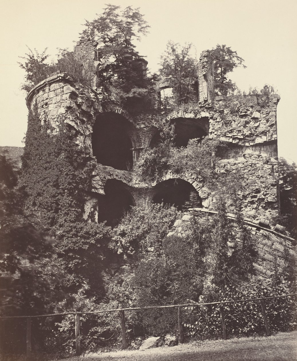 Vybuchlá věž, hrad Heidelberg od Adolphe Braun