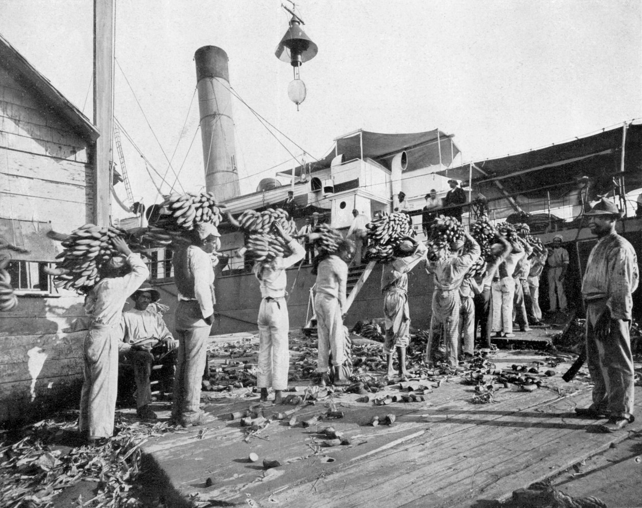 Nakládání banánů, Port Antonio, Jamajka, c1905. od Adolphe Duperly and Son