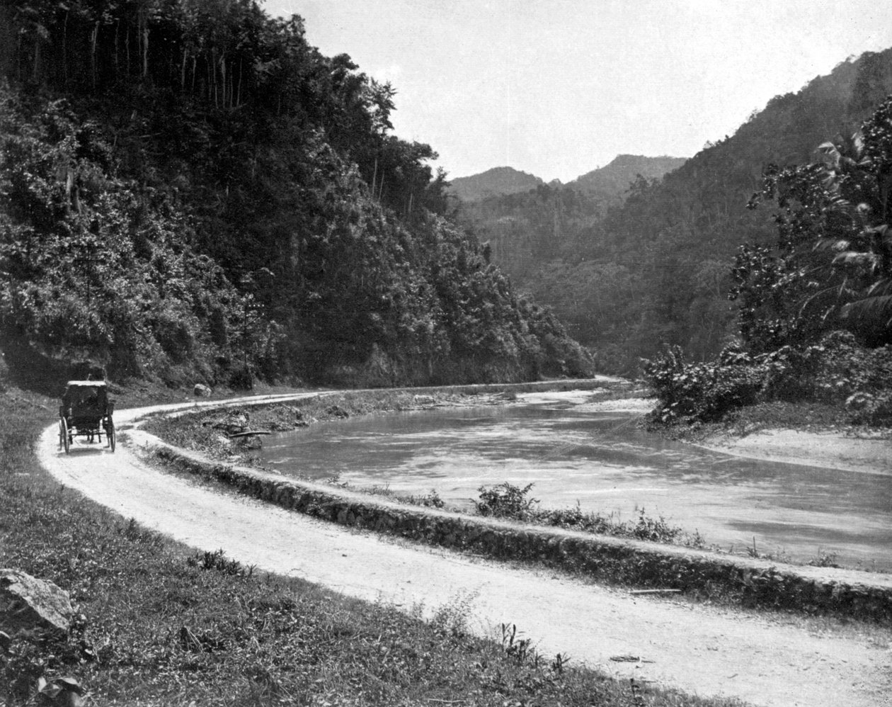 Road to Bog Walk, Jamajka, c1905. od Adolphe Duperly and Son