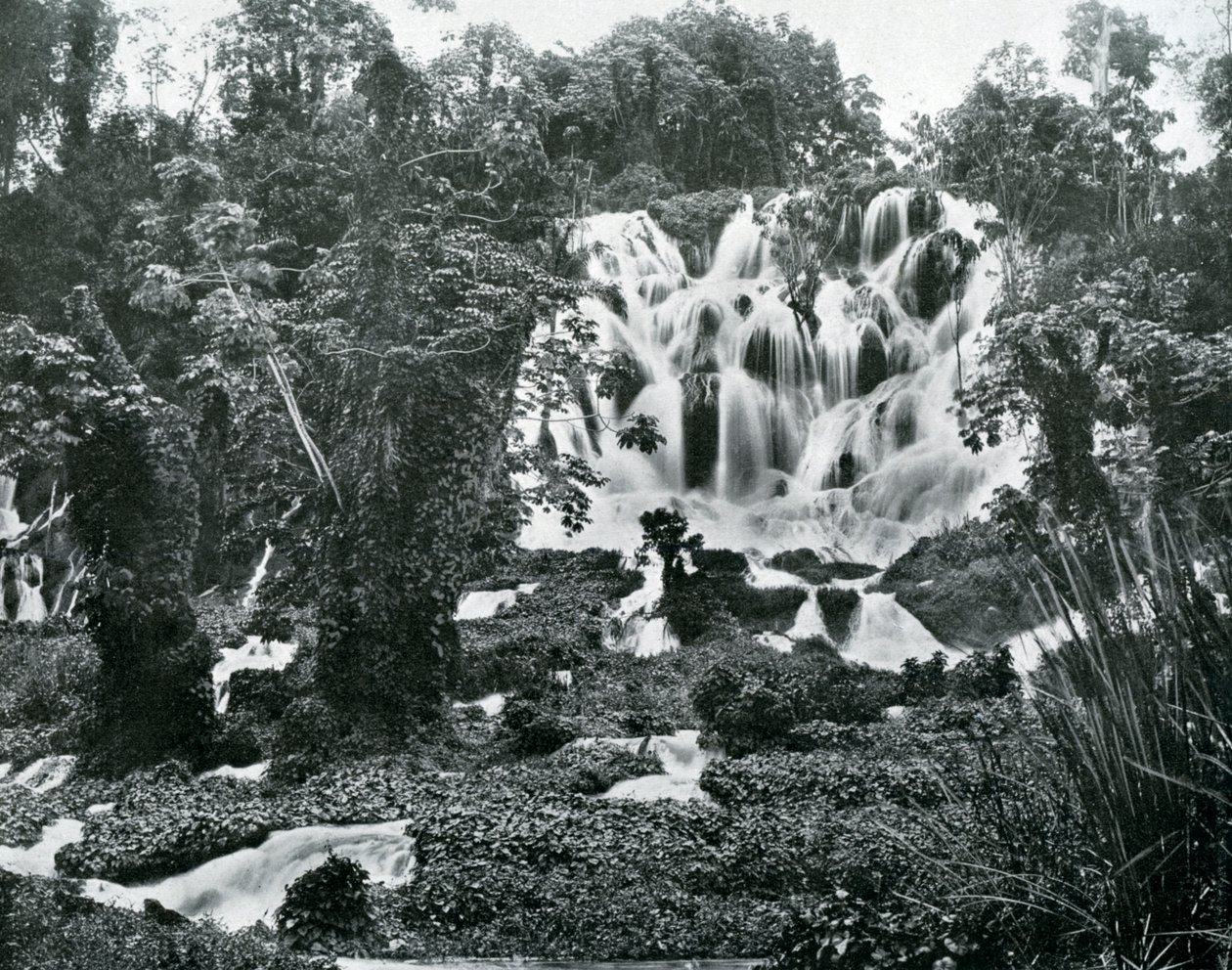 Roaring River Falls, Jamajka, c1905. od Adolphe Duperly and Son