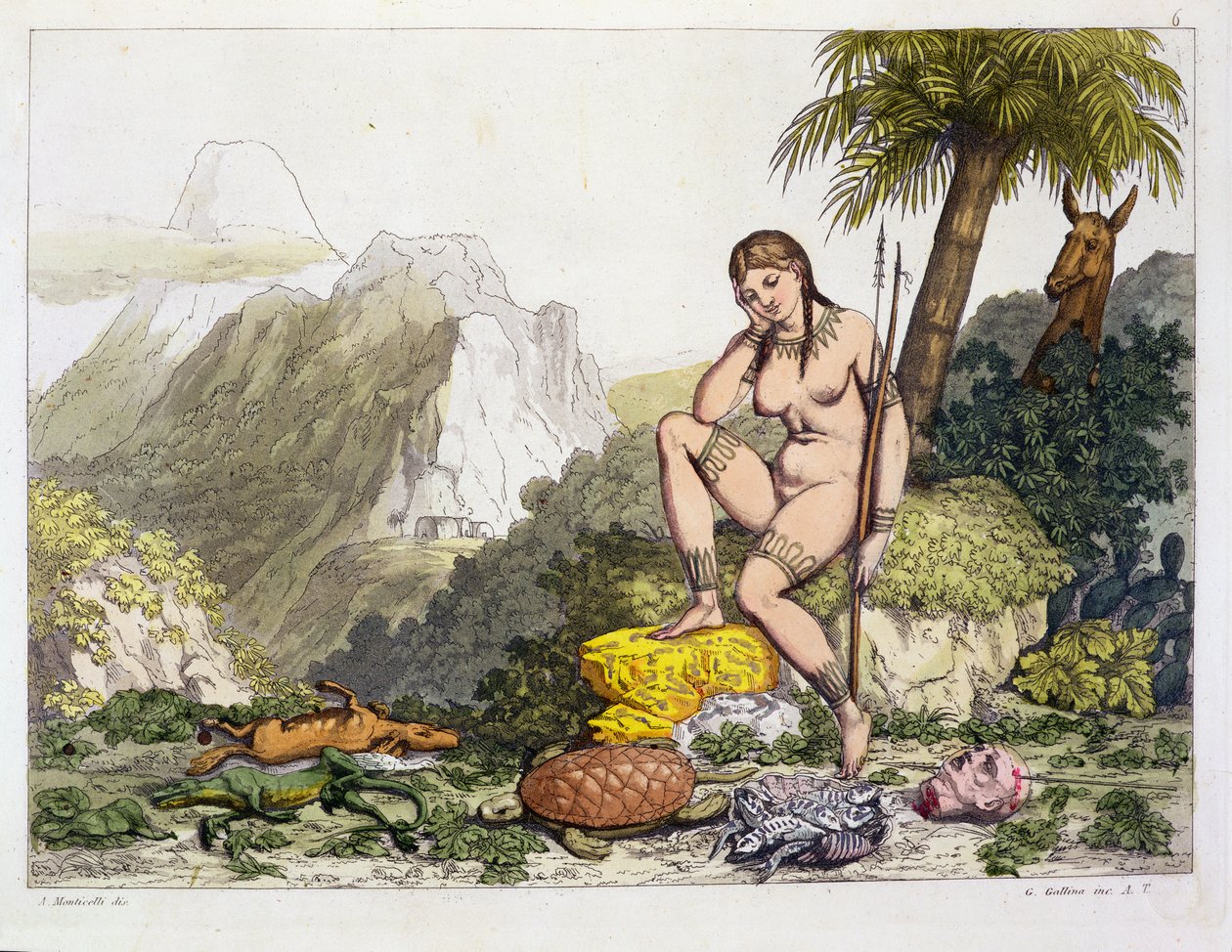 Jihoamerická indiánka, vyryla Gallo Gallina (1796-1874) (barevná rytina) od Adolphe Joseph Thomas Monticelli