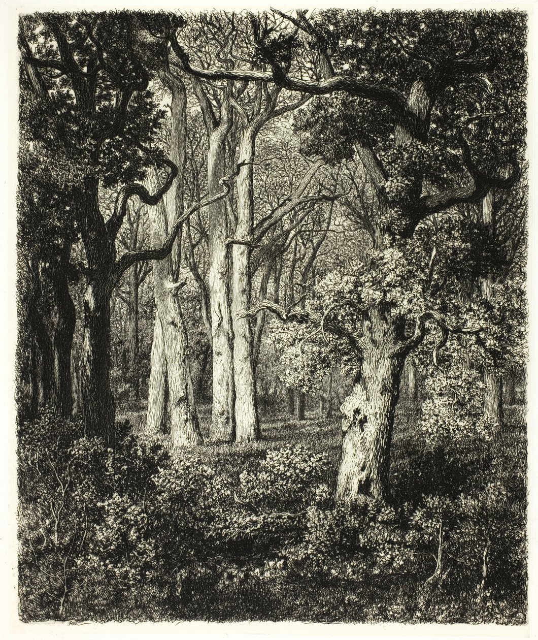 Old Oaks v Bas Bréau od Adolphe Martial Potemont
