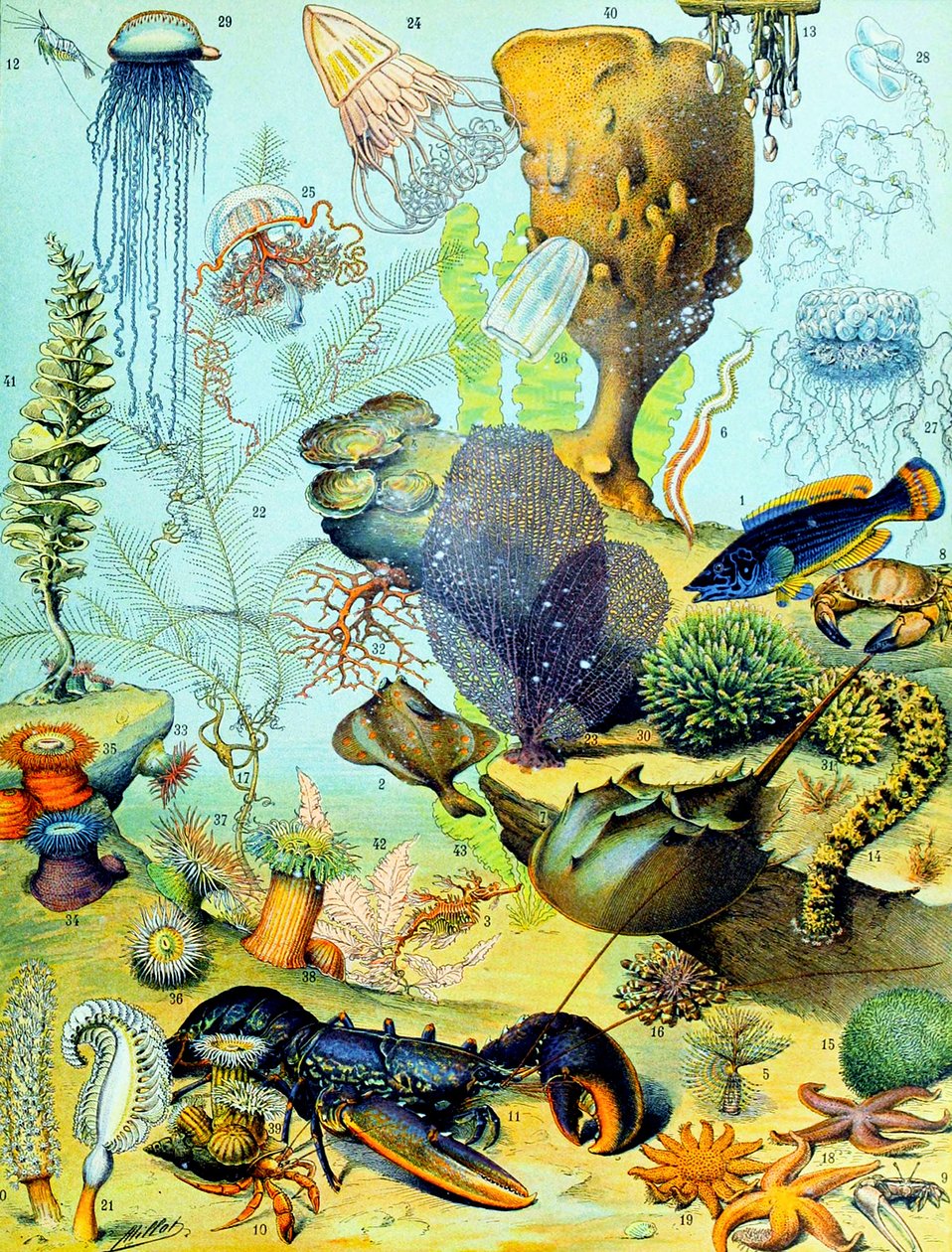 Ilustrace podvodní scény c.1923 od Adolphe Philippe Millot