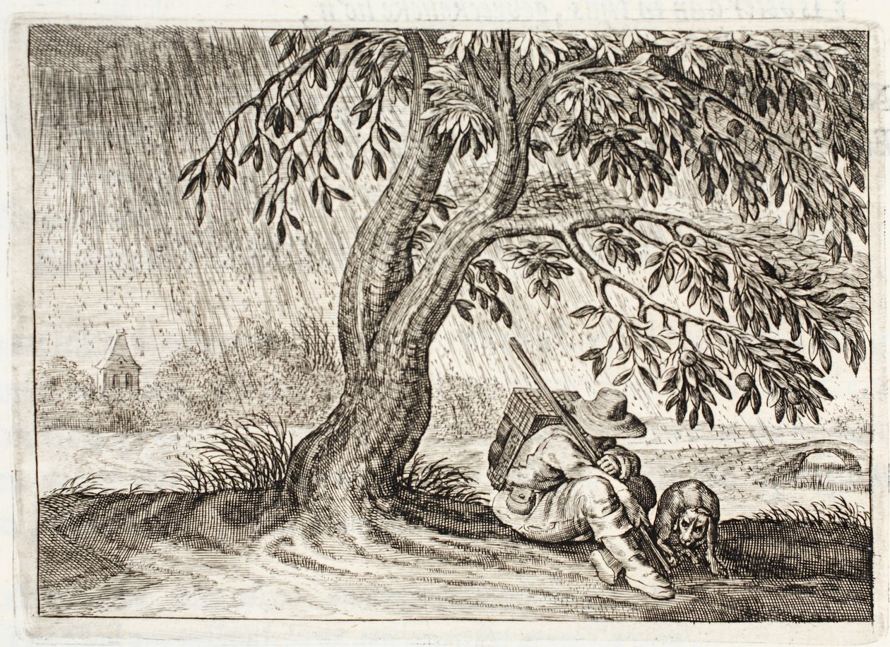 Shelter, ilustrace z 