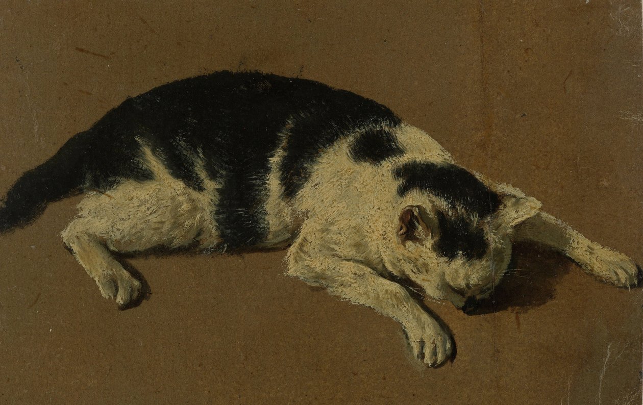 Kočka ležící (kresba olejovým štětcem) od Adriaen van de Velde