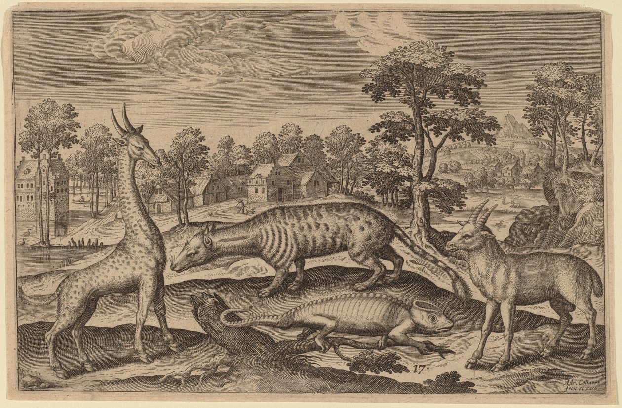 Žirafa, chameleon, cibetka a antilopa od Adriaen Collaert