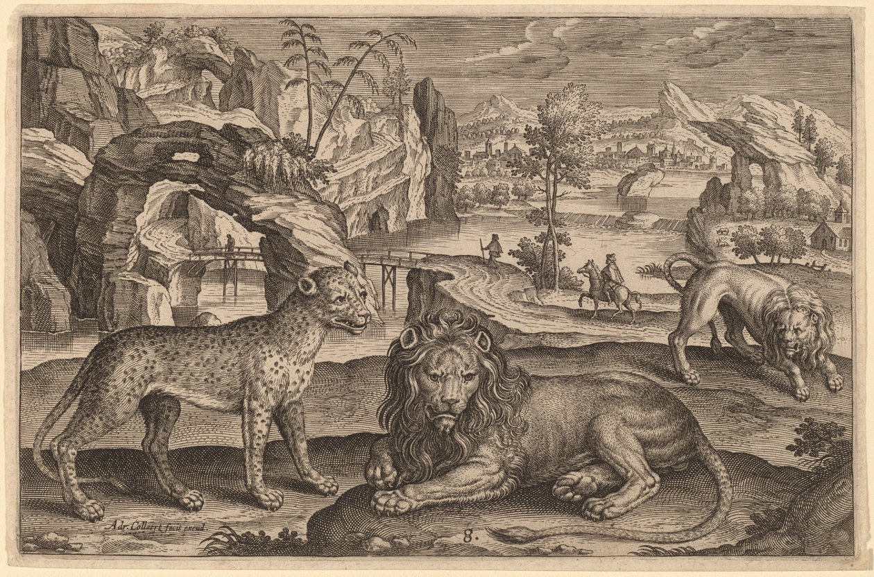 Leopard a dva lvi od Adriaen Collaert
