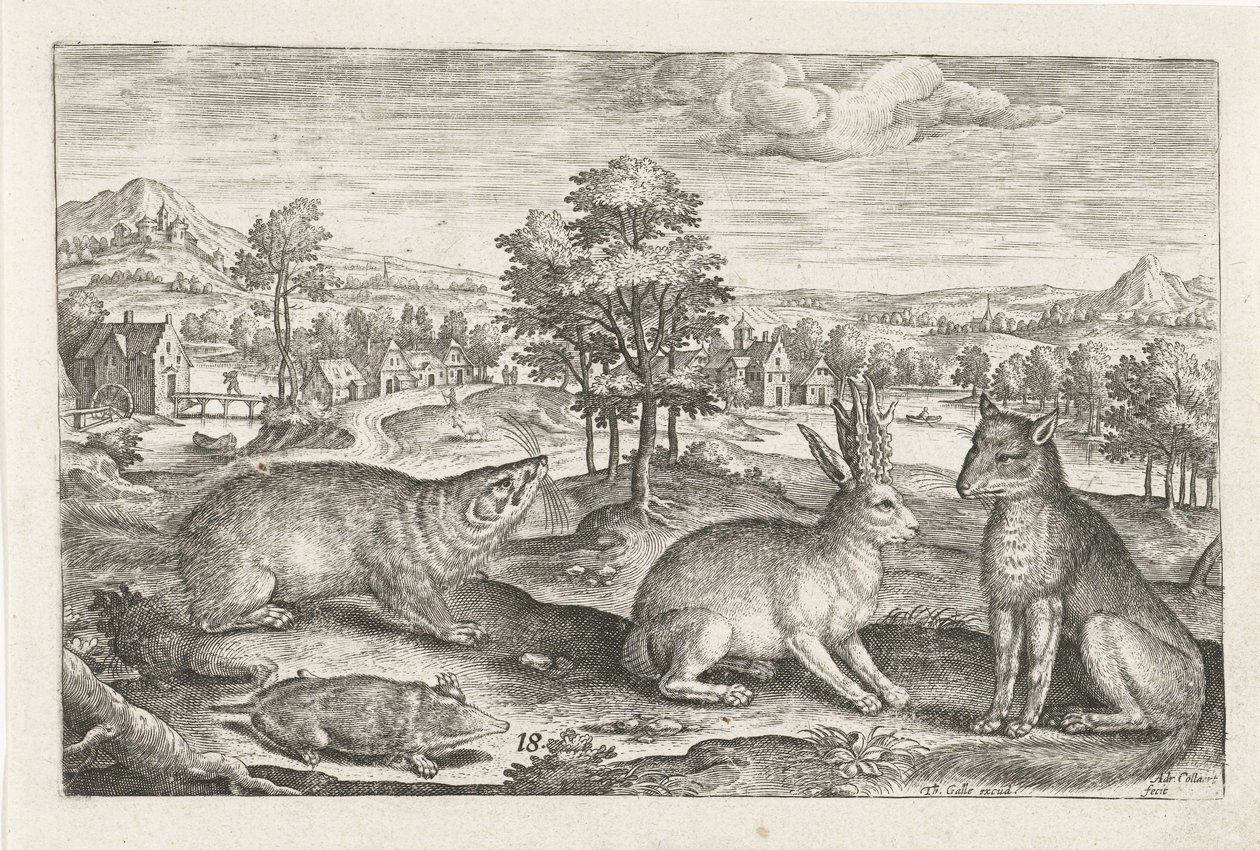 lesní zvěř Čtyřnohá zvířata (název série) Animalivm Qvaddrvpedvm (název série) od Adriaen Collaert