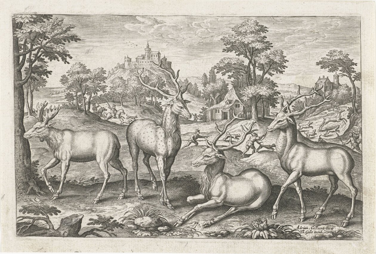 Jelen Čtyřnohá zvířata (název série) Animalivm Qvaddrvpedvm (název série) od Adriaen Collaert