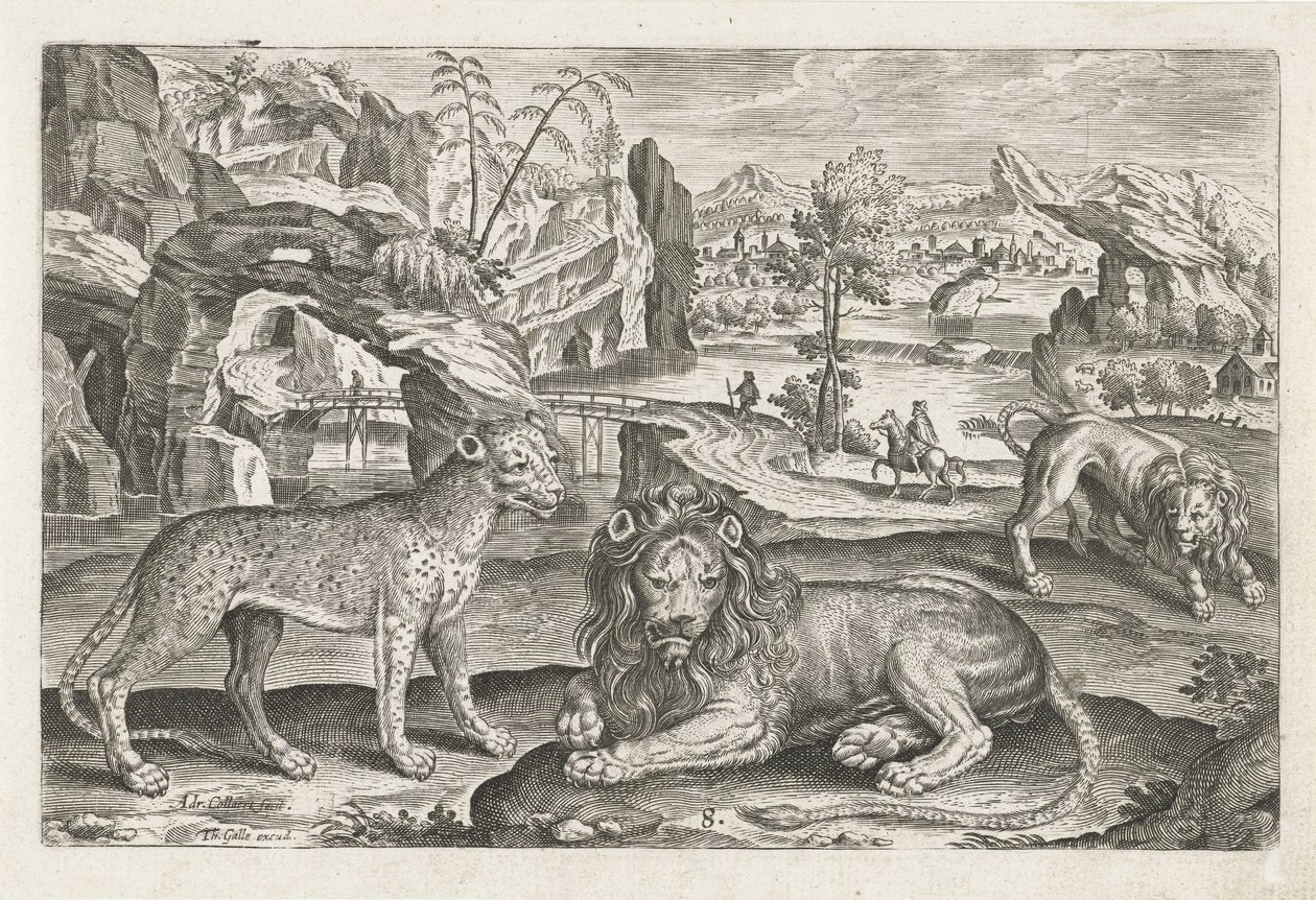 Lvi a Leopard Čtyřnohá zvířata (název série) Animalivm Qvaddrvpedvm (název série) od Adriaen Collaert