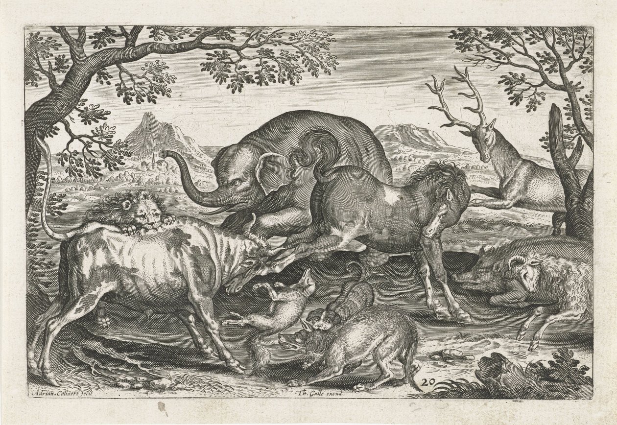 bojová zvířata Čtyřnohá zvířata (název série) Animalivm Qvaddrvpedvm (název série) od Adriaen Collaert