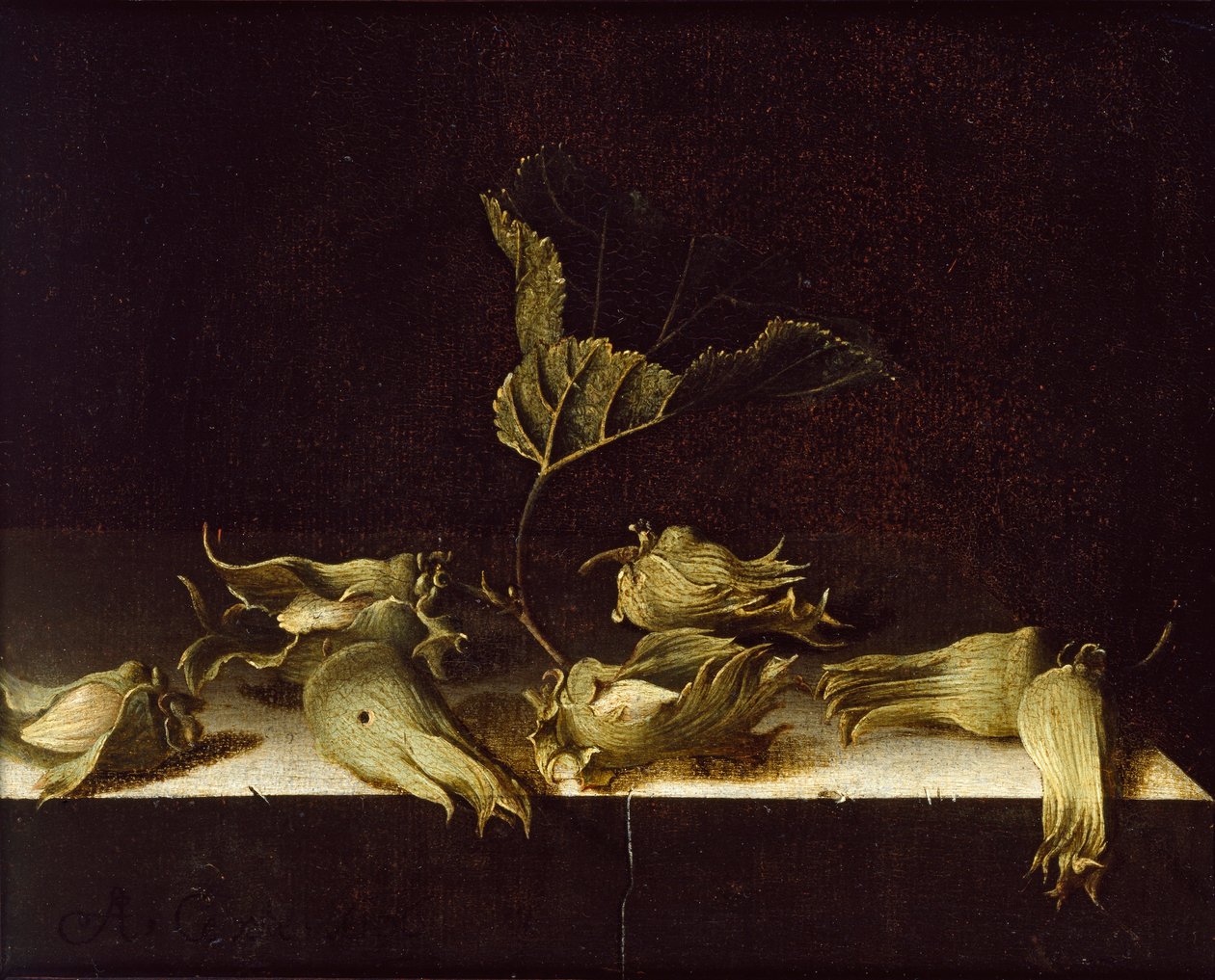 Zátiší s lískovými oříšky, 1696 od Adrian Coorte