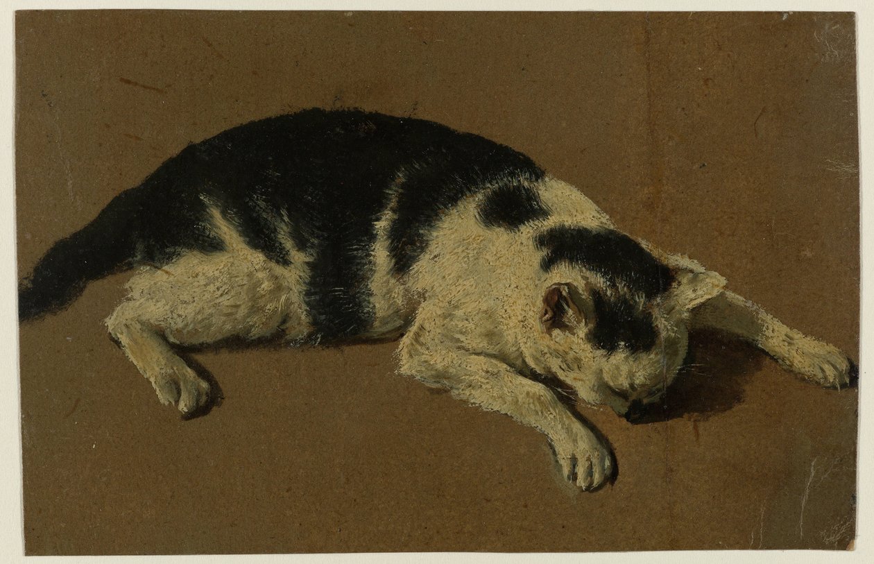 Kočka ležící s hlavou mezi předníma nohama od Adriaen van de Velde (attributed to)